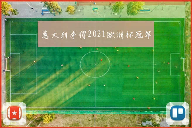 意大利夺得2021欧洲杯冠军