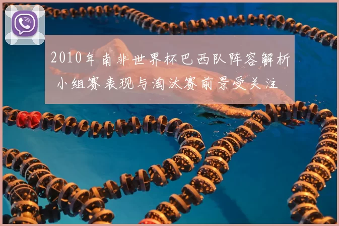 2010年南非世界杯巴西队阵容解析 小组赛表现与淘汰赛前景受关注