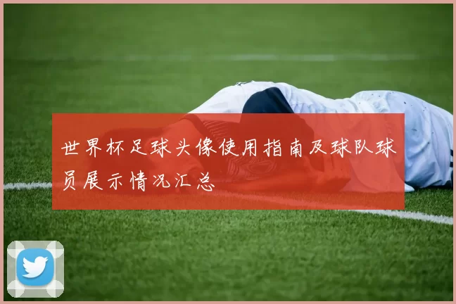 世界杯足球头像使用指南及球队球员展示情况汇总