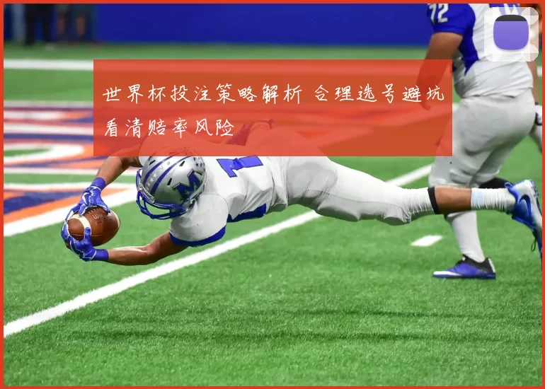 世界杯投注策略解析 合理选号避坑看清赔率风险